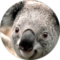 Thestingray467 Avatar