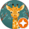 C N Avatar