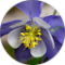 Christine Sperry Avatar