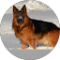 Janet Broadfoot Avatar